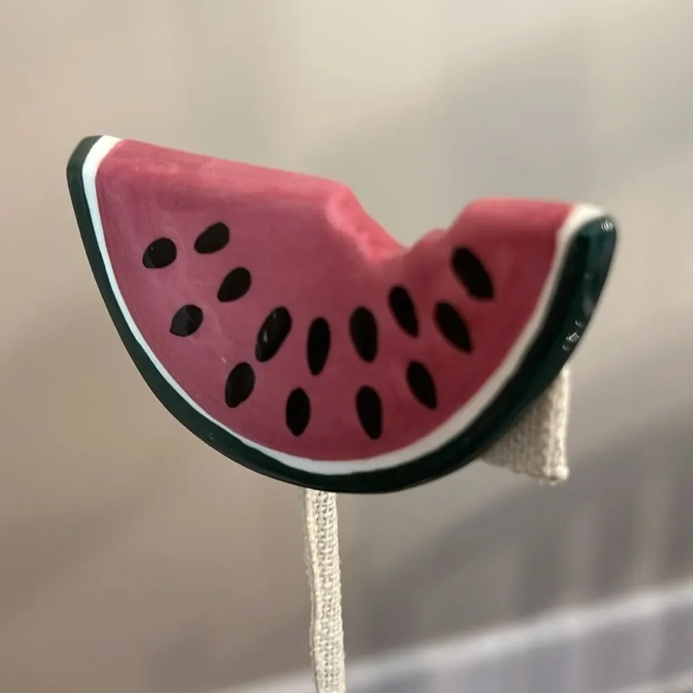 Vintage Watermelon Slice Ceramic Pin